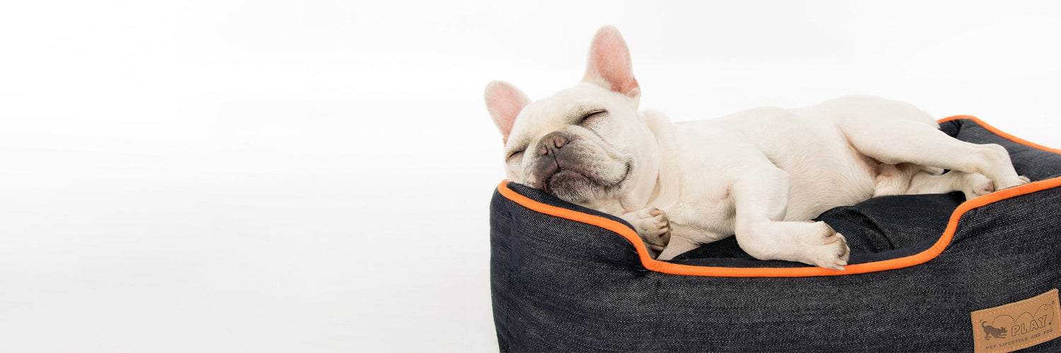 Comfort & Lifestyle