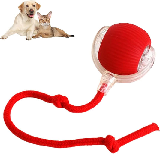 Interactive Rolling Ball Toy for Dogs & Cats – Smart 360° Automatic Pet Ball