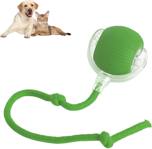 Interactive Rolling Ball Toy for Dogs & Cats – Smart 360° Automatic Pet Ball